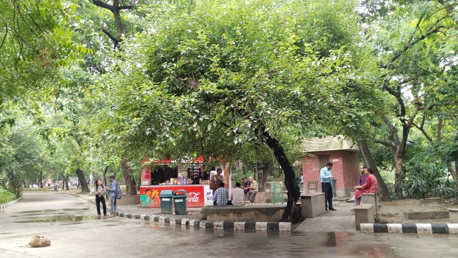 Delhi School of Economics, University of Delhi Campus Photos photo 14